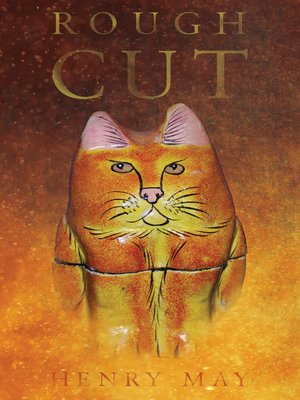 cover image of Rough Cut